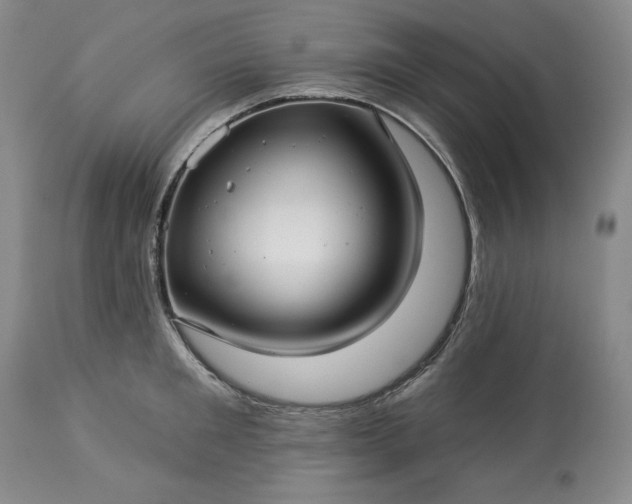 X0000113340901200909291027