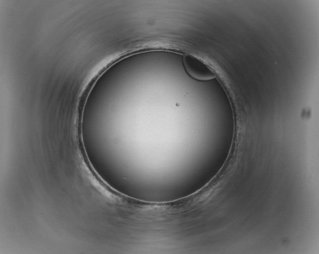 X0000113340902200909291027