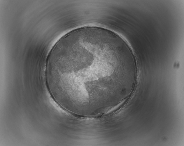 X0000113340903200909291026