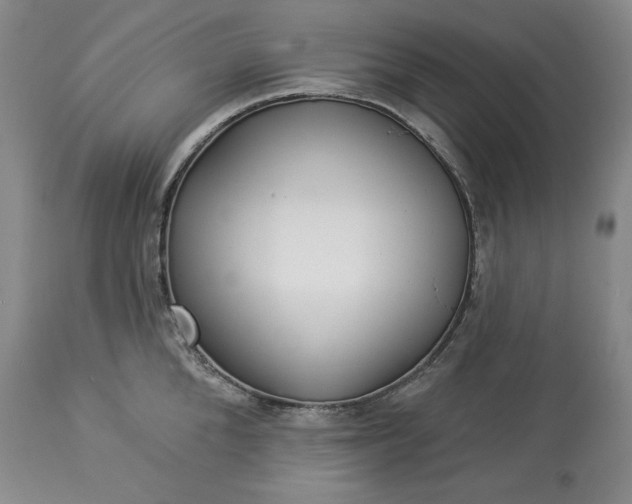 X0000113340904200909291026