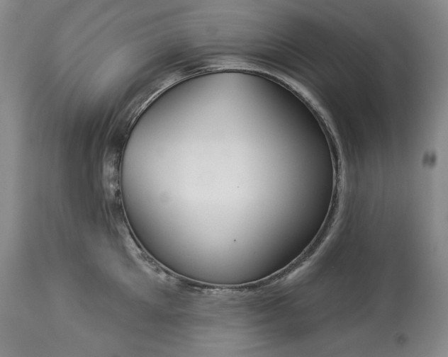 X0000113340905200909291026