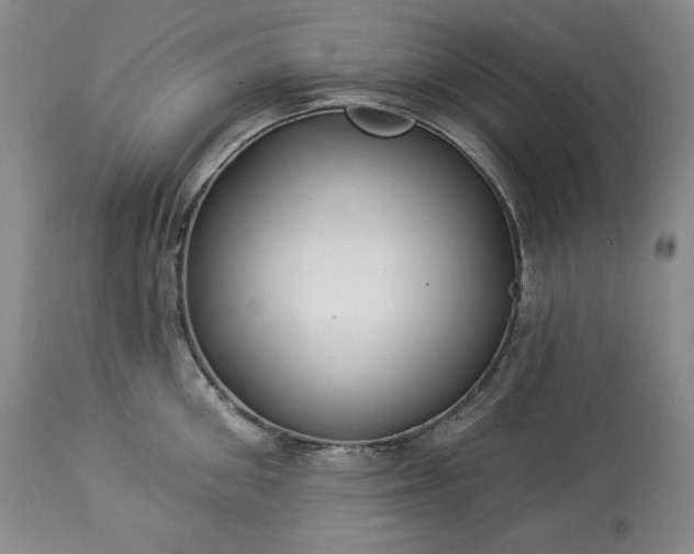 X0000113340906200909291026