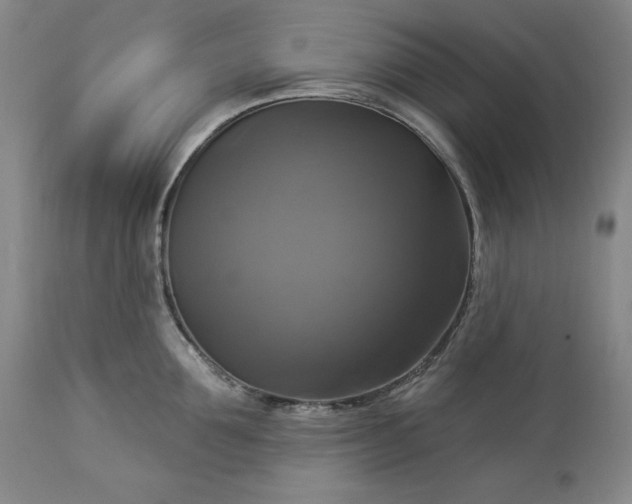 X0000113340907200909291026