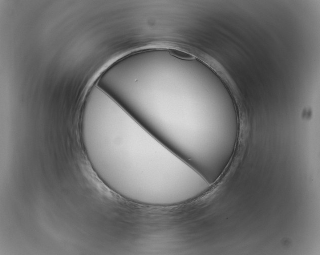 X0000113340908200909291026