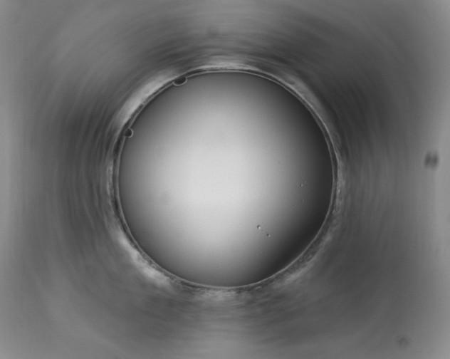 X0000113340909200909291026