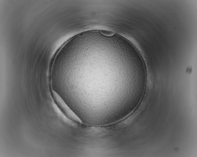 X0000113340910200909291026