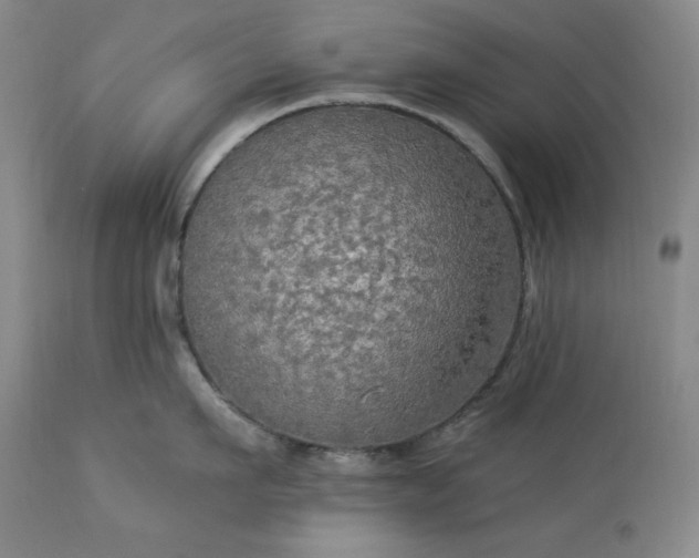 X0000113340911200909291026