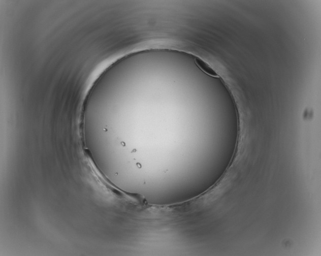 X0000113340912200909291026