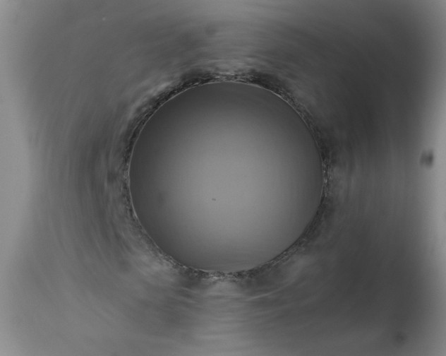 X0000113340913200909291026