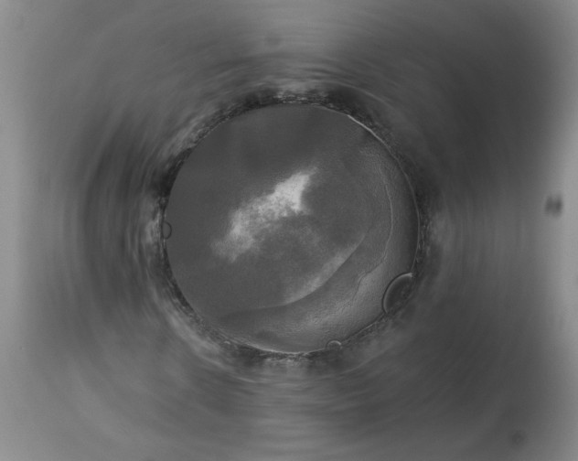 X0000113340914200909291026