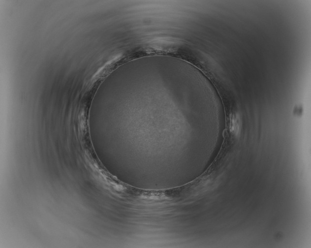 X0000113340915200909291026