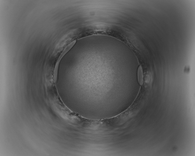 X0000113340916200909291026