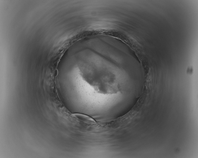 X0000113340917200909291026