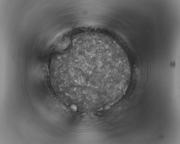 X0000113340918200909291026