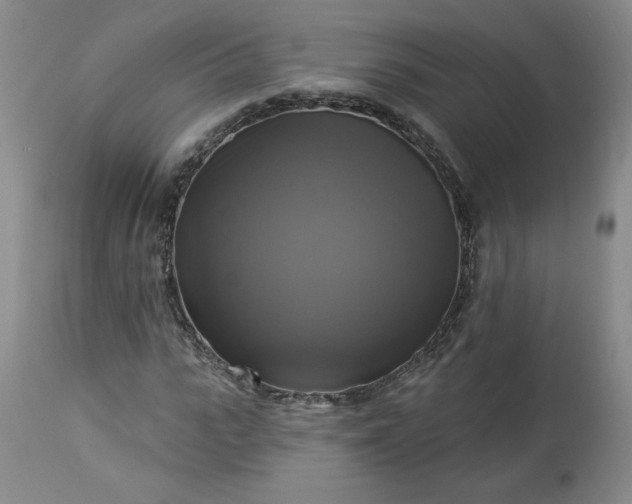 X0000113340919200909291026