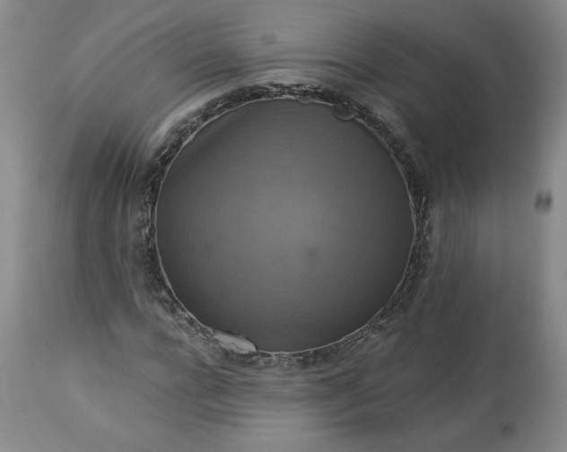 X0000113340920200909291026