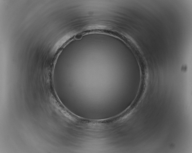 X0000113340921200909291026