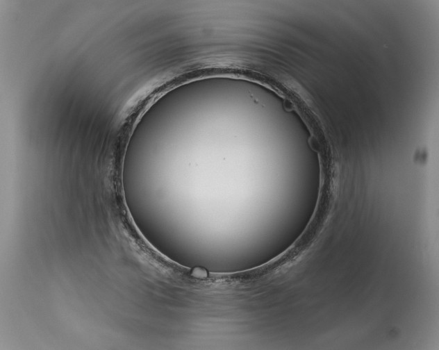 X0000113340922200909291026