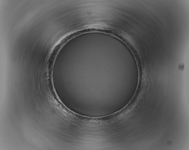 X0000113340923200909291026