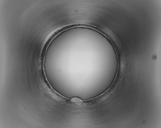 X0000113340924200909291026