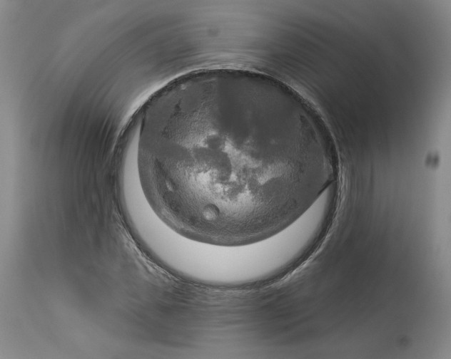 X0000113340925200909291026