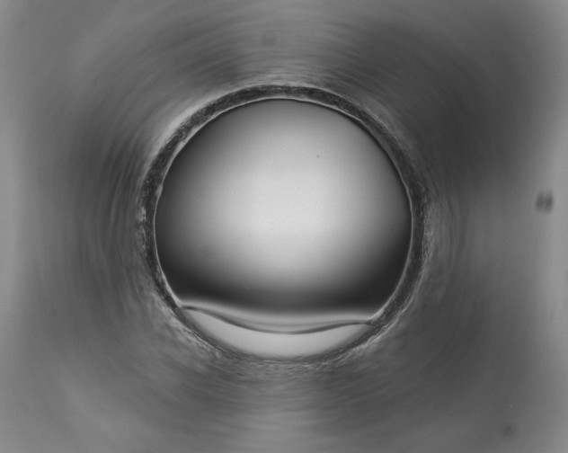 X0000113340926200909291026