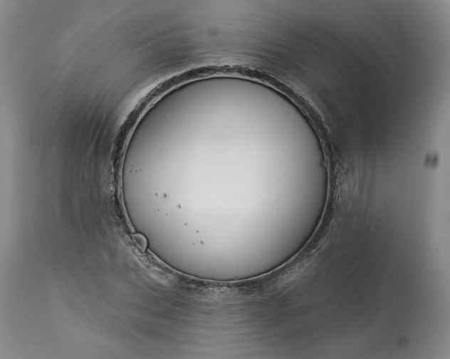 X0000113340927200909291026