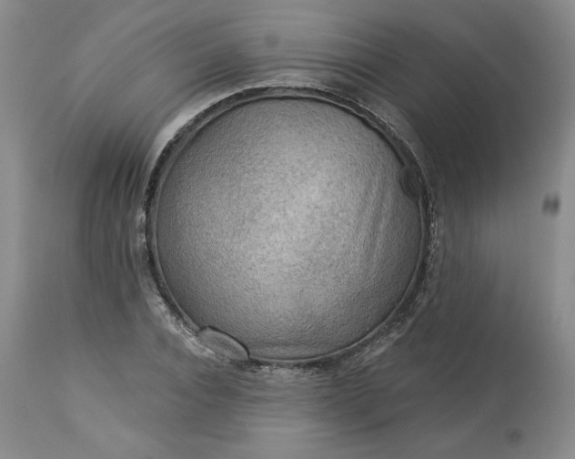 X0000113340928200909291026