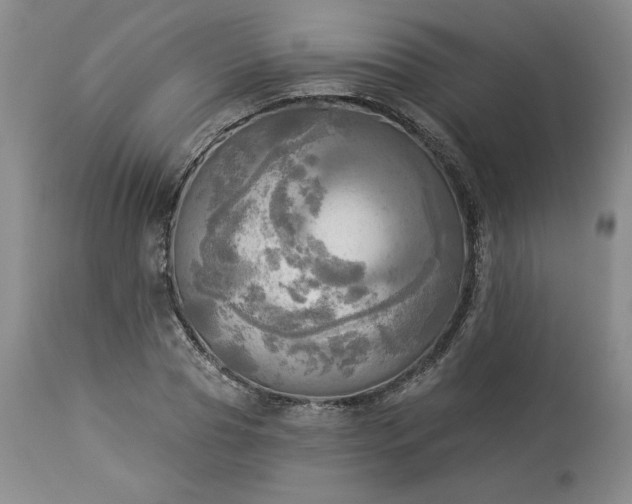 X0000113340929200909291026