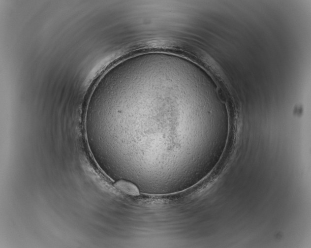 X0000113340930200909291026