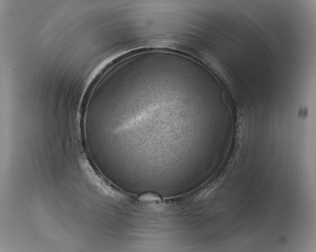 X0000113340932200909291026