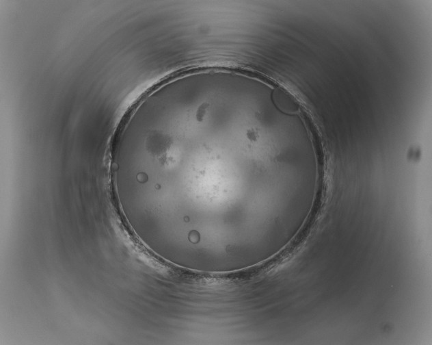 X0000113340933200909291026