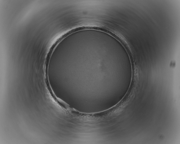 X0000113340935200909291026