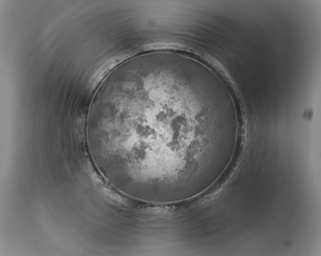 X0000113340937200909291026