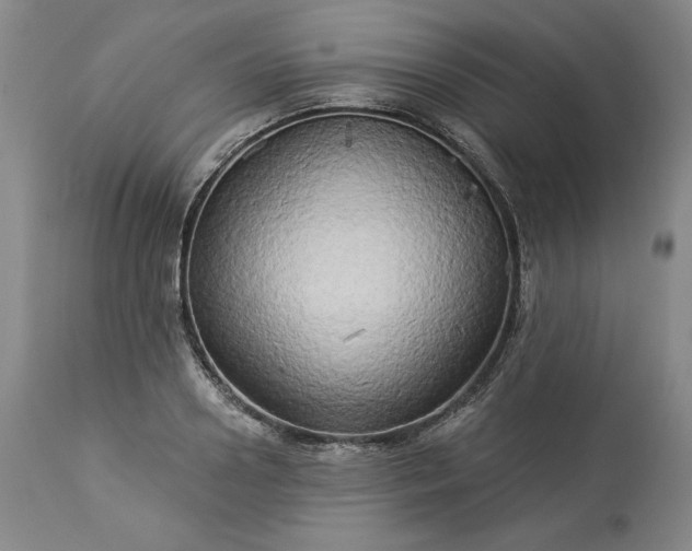 X0000113340938200909291026