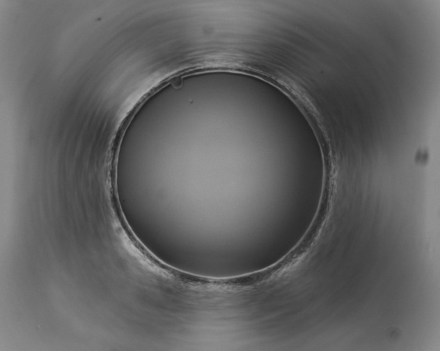 X0000113340941200909291026