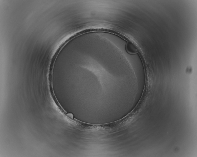 X0000113340943200909291026