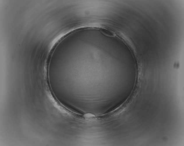 X0000113340944200909291026