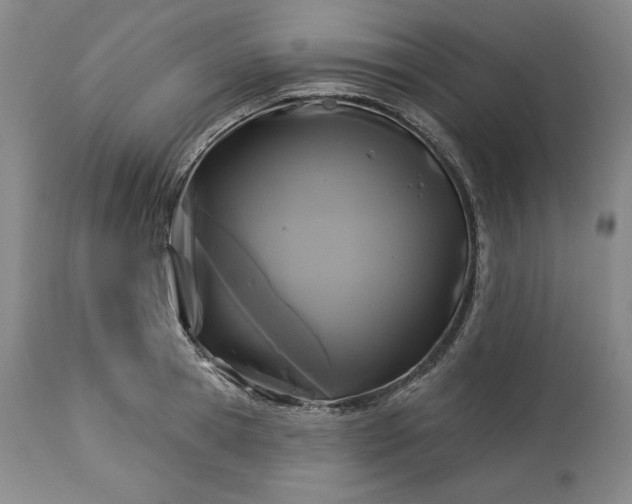 X0000113340945200909291026