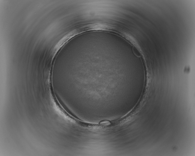 X0000113340946200909291026