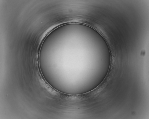 X0000113340948200909291026