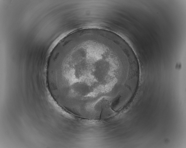 X0000113340949200909291026