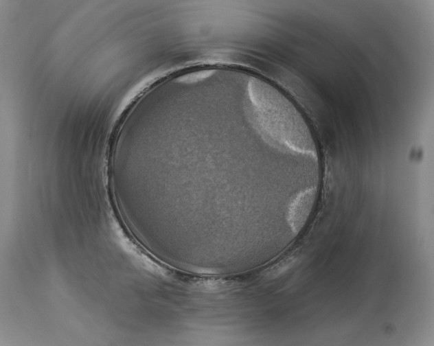 X0000113340950200909291026