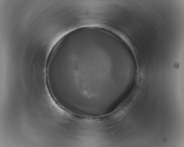 X0000113340951200909291026