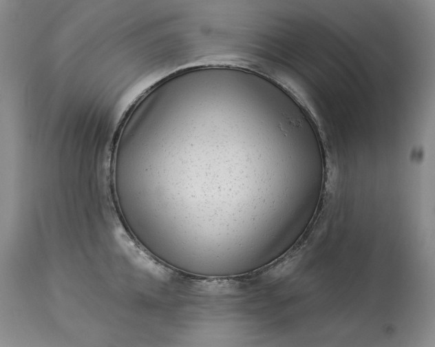 X0000113340952200909291026