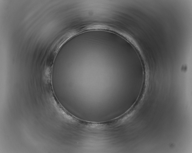 X0000113340953200909291026