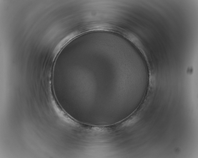 X0000113340954200909291026