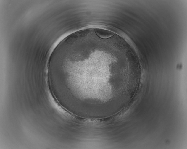 X0000113340955200909291026