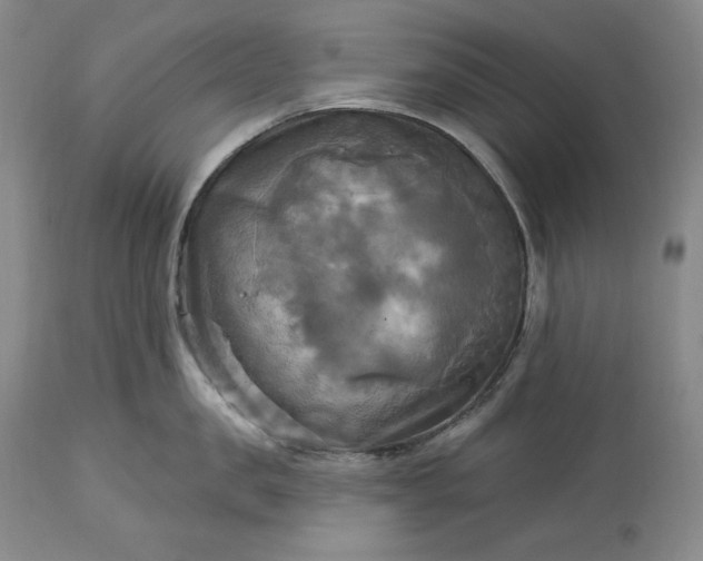 X0000113340957200909291026