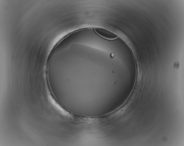 X0000113340958200909291026